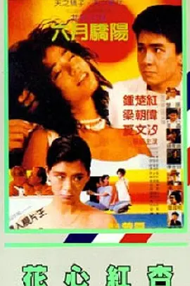 至尊卡的服务