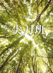 淫秽朝鲜王朝