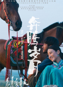国产亚洲精品一区二区